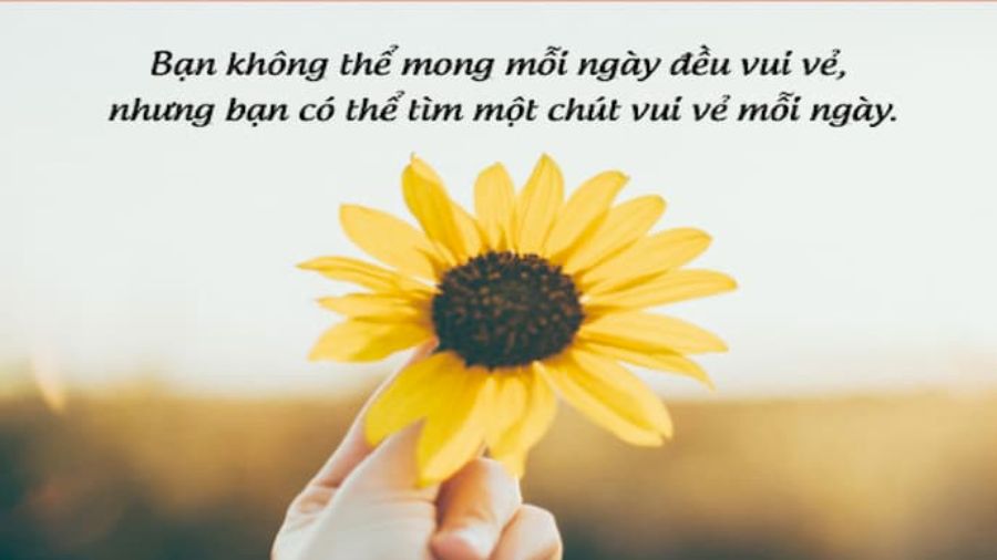 Caption hay về cuộc sống mới nhất 2024